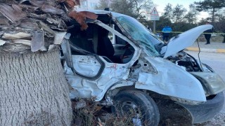 Kontrolden çıkan kamyonet orta refüjdeki ağaca çarparak durabildi