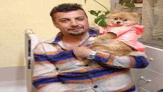 Köpeklerinin aynı kişiler tarafından çalındığı iddia ederek yardım istedi