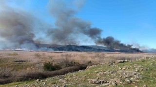 Köyceğizde sazlık yangını başladı
