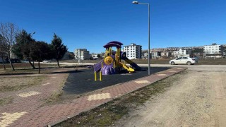 Küçük çocuk: Köpekler az daha elimi ısıracaktı