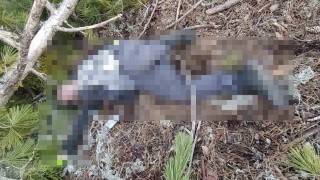 Kütahyada kestiği ağacın altında kalan işçi hayatını kaybetti