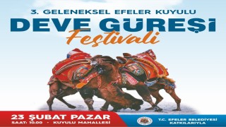 Kuyulu Deve Güreşleri 23 Şubat Pazar günü yapılacak