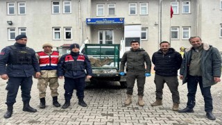 Malatyada yaralı bulunan dağ keçisi koruma altına alındı