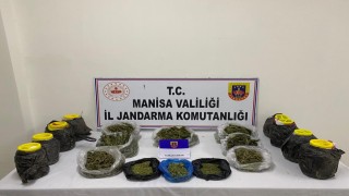 Manisada jandarmadan esrar operasyonu