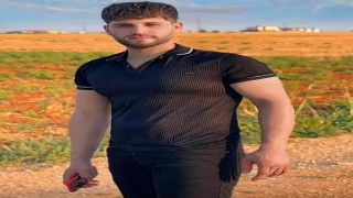 Mardinde 3 kişinin hayatını kaybettiği silahlı kavgayla ilgili 7 kişi tutuklandı