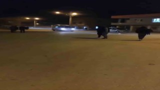 Mardinde iki aile arasında silahlı kavga: 3 ölü, 7 yaralı