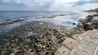 Marmara Denizi 10 metre çekildi, Kral Yolu ortaya çıktı