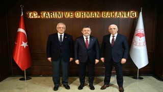 Marmarabirlik Yönetim Kurulu Başkanı Hidamet Asa: