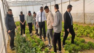 Meslek liseliler tarımsal üretimde deneyim kazanıyor