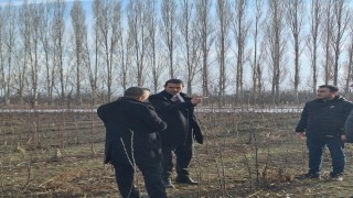 Meyve fidanları baharın gelmesiyle çiftçilerle buluşturulacak