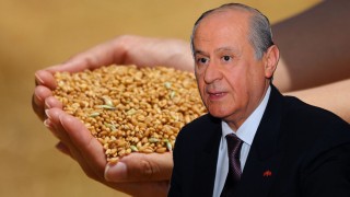MHP'den "Askıda 9 Gülek Buğday" Projesi: Çiftçilere Çağrı