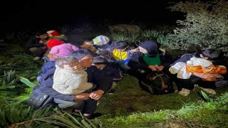Milasta 7si çocuk 16 düzensiz göçmen yakalandı