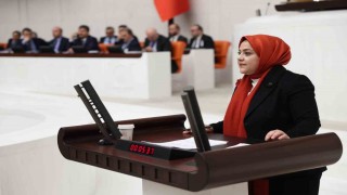 Milletvekili Ün: Atanmış kişilere bu derece yetki tanınması siyasi suistimallere neden olabilir