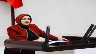 Milletvekili Ün: Tarımda modernizasyon olmazsa, üretim yapacak çiftçi kalmayacak