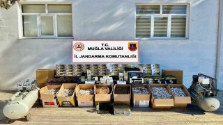Muğlada jandarmadan kaçak tütün operasyonu: 3 şüpheli gözaltına alındı
