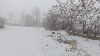 Muradiyede kar yağışı