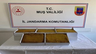 Muşta aranan 199 şahıs yakalandı