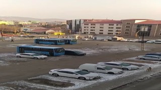 Muşta başıboş köpeklerden kaçan öğrenci yere kapaklandı