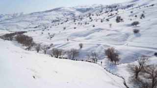 Muşta doğa tutkunları Karlı Dereyi gezdi