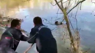 Nehre atlayan kadını jandarma ekibi ağaç dalıyla işte böyle kurtardı