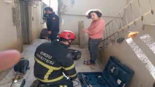 Orduda evcil kedi, sokak köpeklerinden kaçarken sıkıştığı yerden kurtarıldı