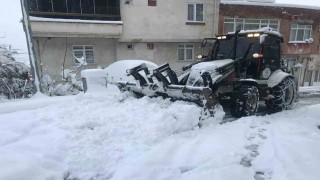 Orduda kar yağışı hayatı olumsuz etkiliyor