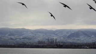 Ordudan şehir ve kar manzarası