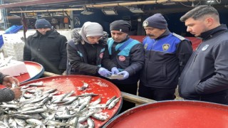 Osmaneli balık pazarında denetim