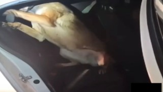 Otomobilin direğine zulalanmış uyuşturucuyla yakalanan 3 sanığa ceza yağdı