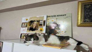 (ÖZEL) Depremde kızını kaybeden baba hayvan sevgisiyle hayata tutunuyor