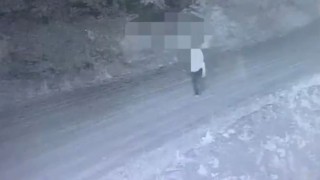 (Özel) Jandarmanın fotokapanı organize suç örgütünü böyle kaptı