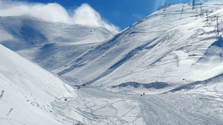 Palandökende çığ