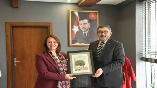 Pazaryerinin geleceği için iş birliği