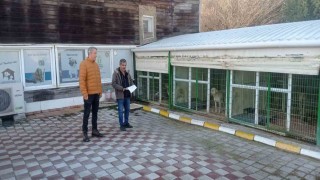 Petshop ve benzeri işletmelere yönelik denetim