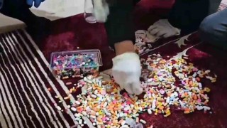 Sungurlu’da Vazolara Gizlenmiş Uyuşturucular Bulundu