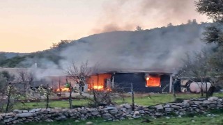 Prefabrik ev alevlere teslim oldu: 1 yaralı