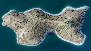 Robinson Crusoe Ziya dede hastalandı, adaya belediye başkanı sahip çıktı