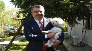 Sahiplenilen hayvanın 1 yıllık muayenesi Yıldırım Belediyesinden