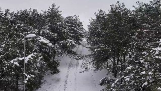 Şamlar Tabiat Parkında oluşan kartpostallık görüntü havadan görüntülendi