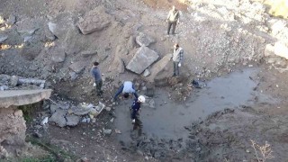 Şanlıurfada çamur bataklığında mahsur kalan 240 kaplumbağa kurtarıldı
