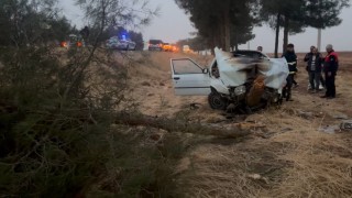 Şanlıurfada otomobil ağaca çarptı: 4 yaralı
