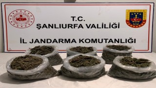 Şanlıurfada uyuşturucu operasyonu: 16 gözaltı