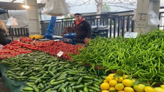 Sebzede artan üretici fiyatları çiftçiye kazandırdı