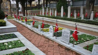 Şehitlikte çiçekler açtı
