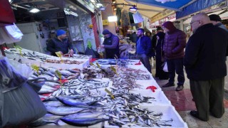 Sibirya soğukları hamsiye yaradı