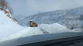 Siirtte kapanan köy yolları ulaşıma açıldı