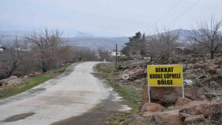 Siverekte kuduz alarmı