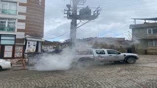 Söğüt Belediyesinden sinek ve larva ilaçlama atağı
