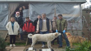 Sokak hayvanları için örnek imece