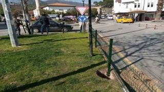 Sultanhisarda belediye ekipleri çalışmalarını sürdürüyor